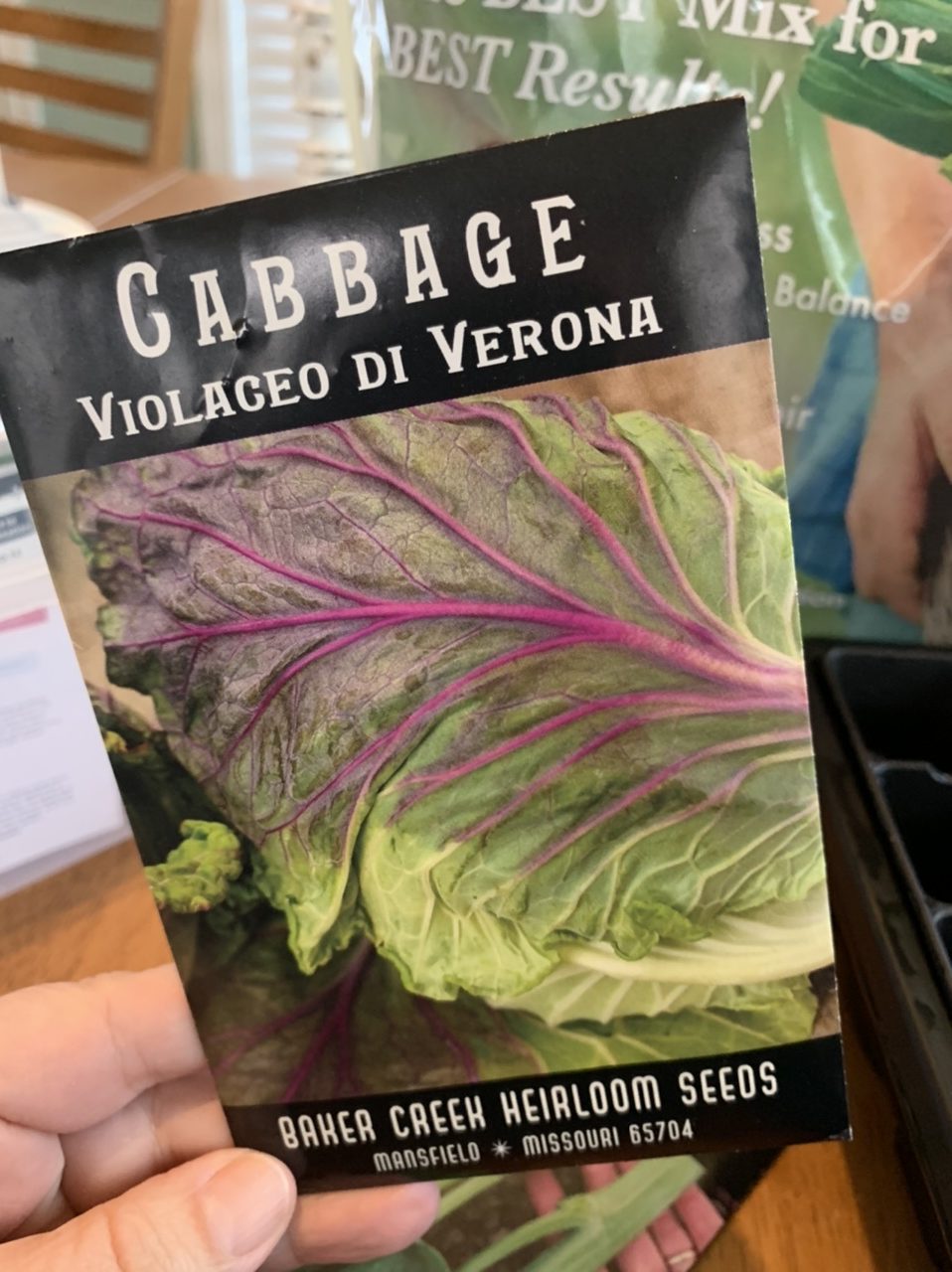 Cabbage seeds 