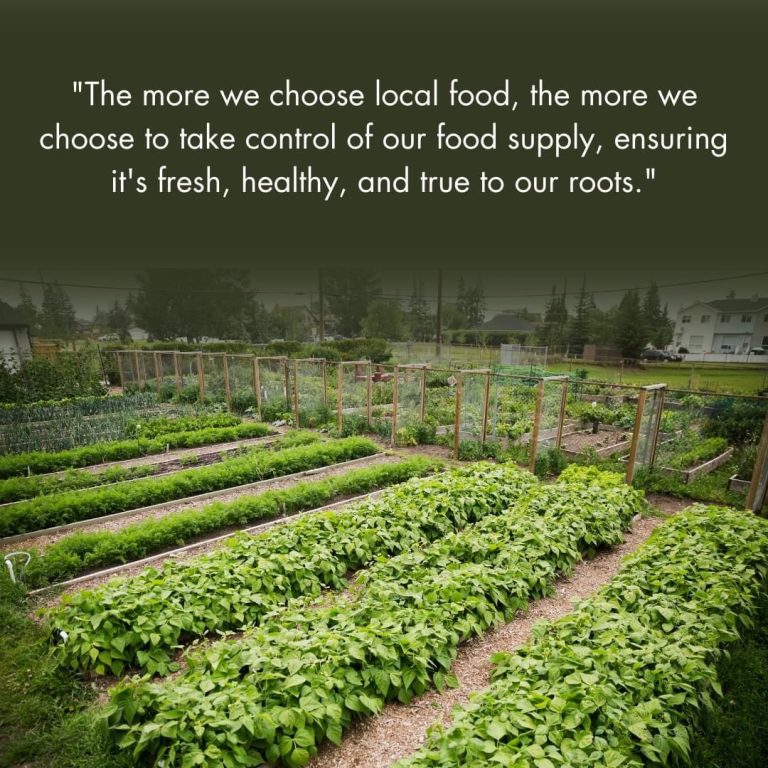 Why Supporting Local Farmers Matters More Than Ever